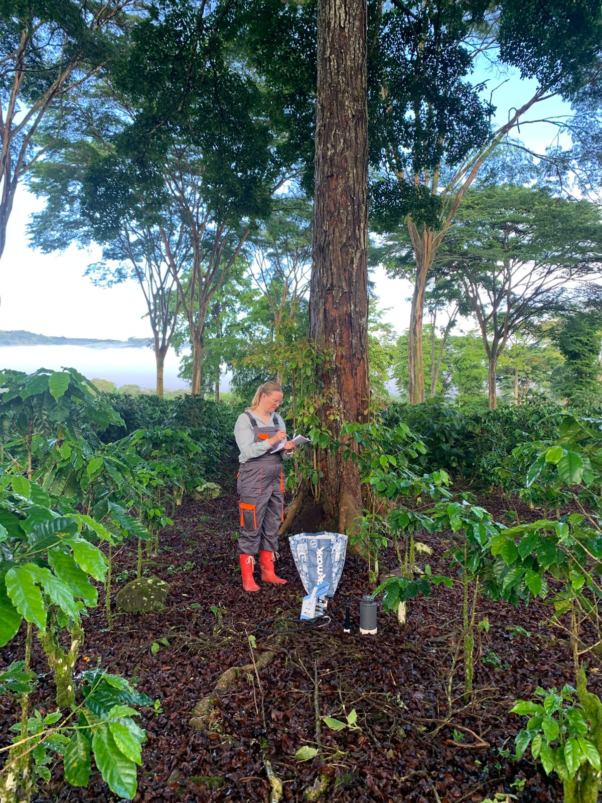 Roots, research & roaming wildlife: fellows’ summer journeys